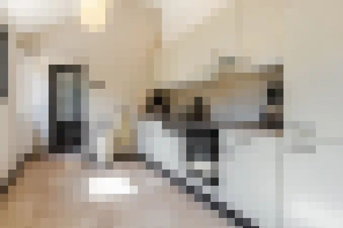 Zuideveldlaan 31 Dussen thumbnail 11
