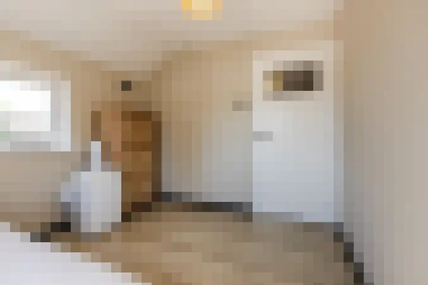 Zuideveldlaan 31 Dussen thumbnail 19