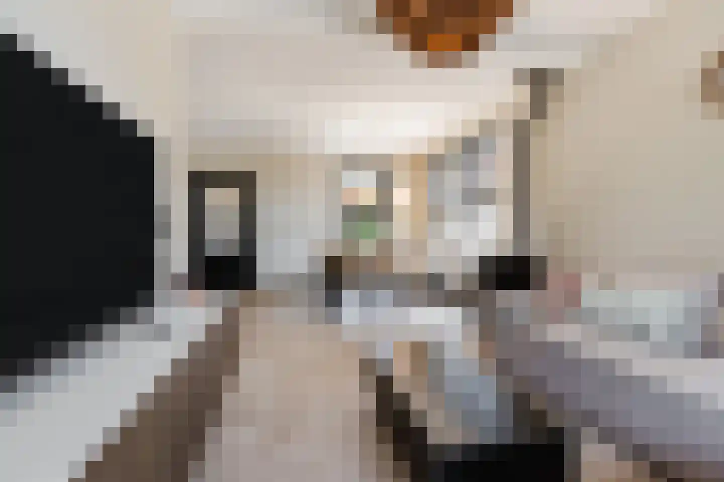 Zuideveldlaan 31 Dussen thumbnail 7