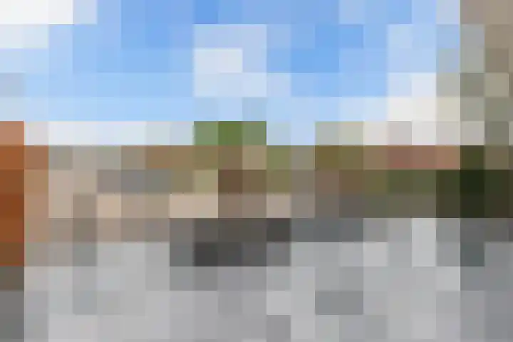 Zuidewijn 34 Lelystad thumbnail 10