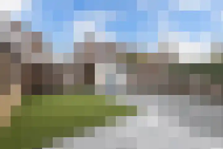 Zuidewijn 34 Lelystad thumbnail 38