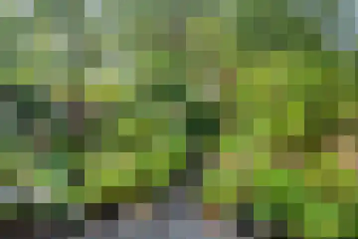 Zuidewijn 7 Eindhoven thumbnail 31