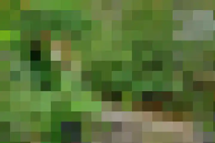 Zuidewijn 7 Eindhoven thumbnail 32