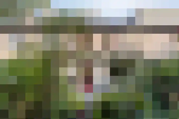 Zuidewijn 7 Eindhoven thumbnail 34