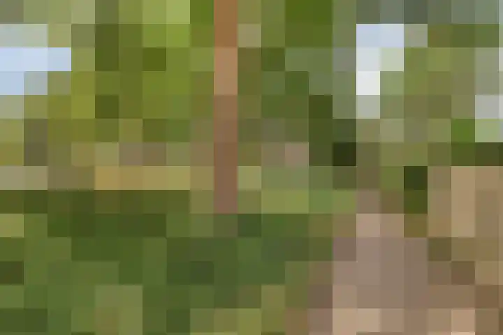 Zuidewijn 7 Eindhoven thumbnail 35