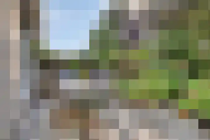 Zuidewijn 7 Eindhoven thumbnail 5
