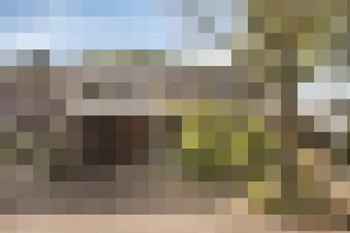 Zuidewijn 7 Eindhoven thumbnail 6