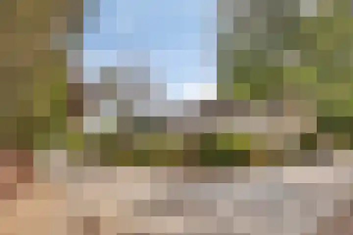 Zuidewijn 7 Eindhoven thumbnail 7