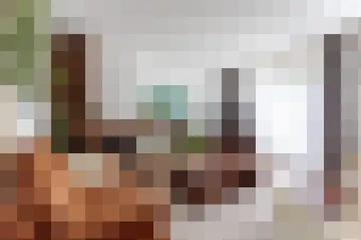 Zuidewijn 9 Eindhoven thumbnail 10