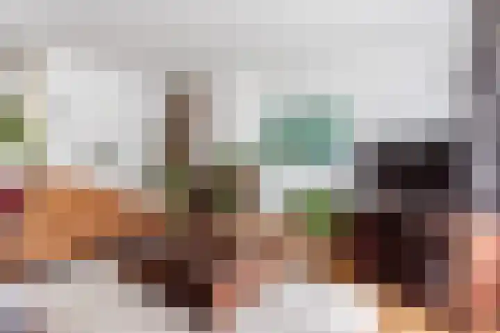 Zuidewijn 9 Eindhoven thumbnail 12