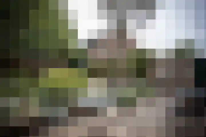 Zuidewijn 9 Eindhoven thumbnail 13