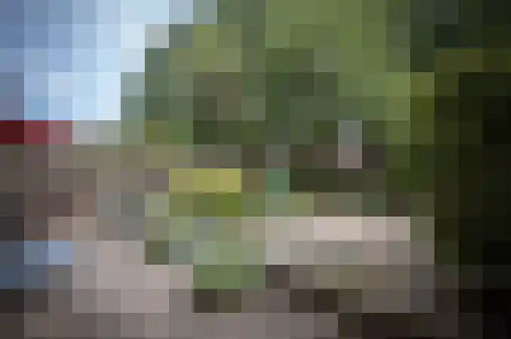 Zuidewijn 9 Eindhoven thumbnail 14