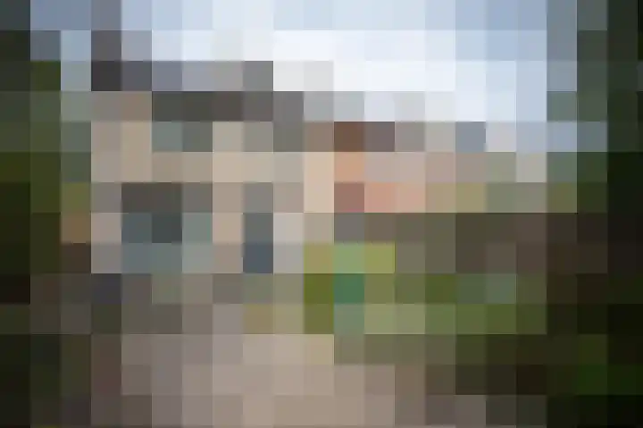 Zuidewijn 9 Eindhoven thumbnail 15