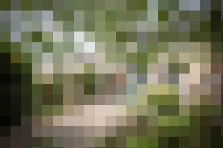 Zuidewijn 9 Eindhoven thumbnail 16