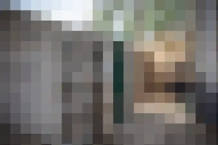 Zuidewijn 9 Eindhoven thumbnail 17