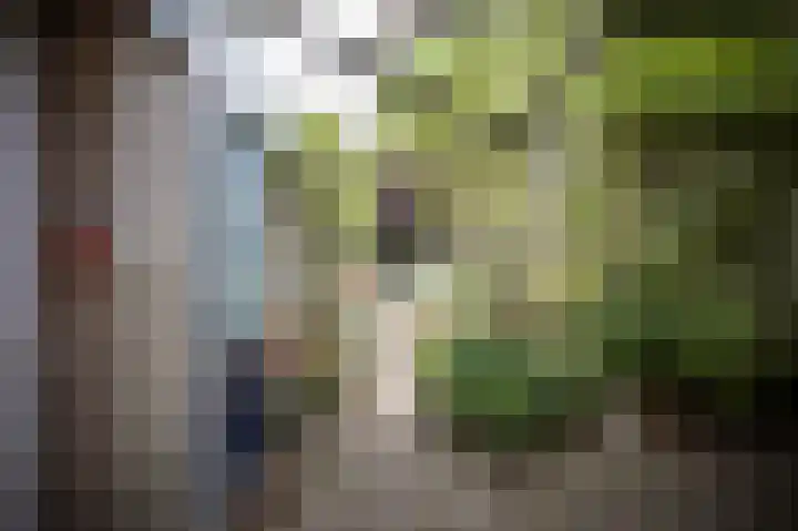 Zuidewijn 9 Eindhoven thumbnail 34