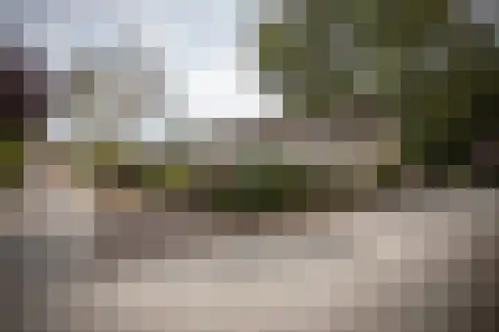Zuidewijn 9 Eindhoven thumbnail 36