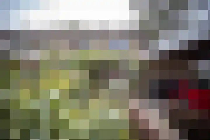 Zuidewijn 9 Eindhoven thumbnail 4