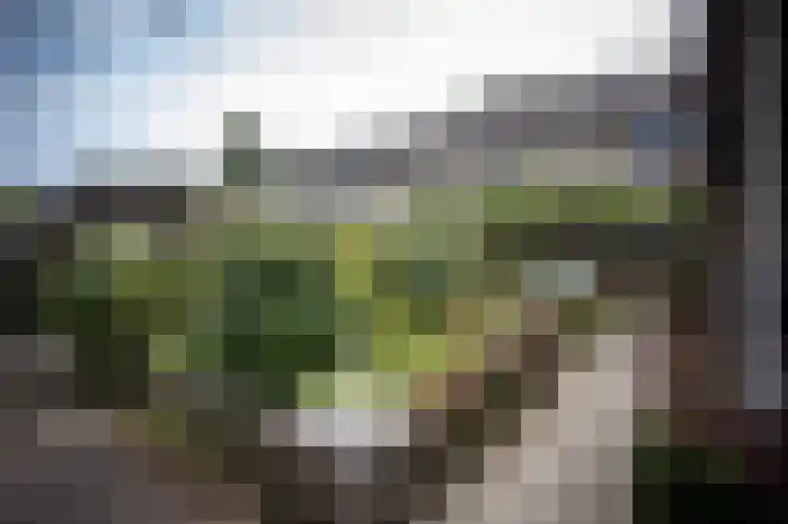 Zuidewijn 9 Eindhoven thumbnail 5