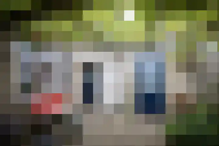 Zuidewijn 9 Eindhoven thumbnail 6