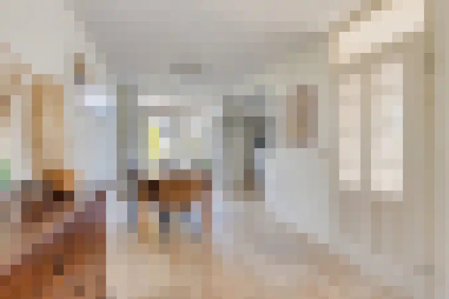 Zuidgouw 100 Ursem thumbnail 16
