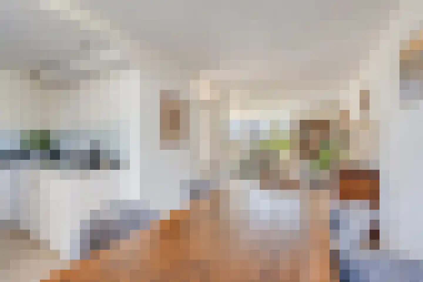 Zuidgouw 100 Ursem thumbnail 18