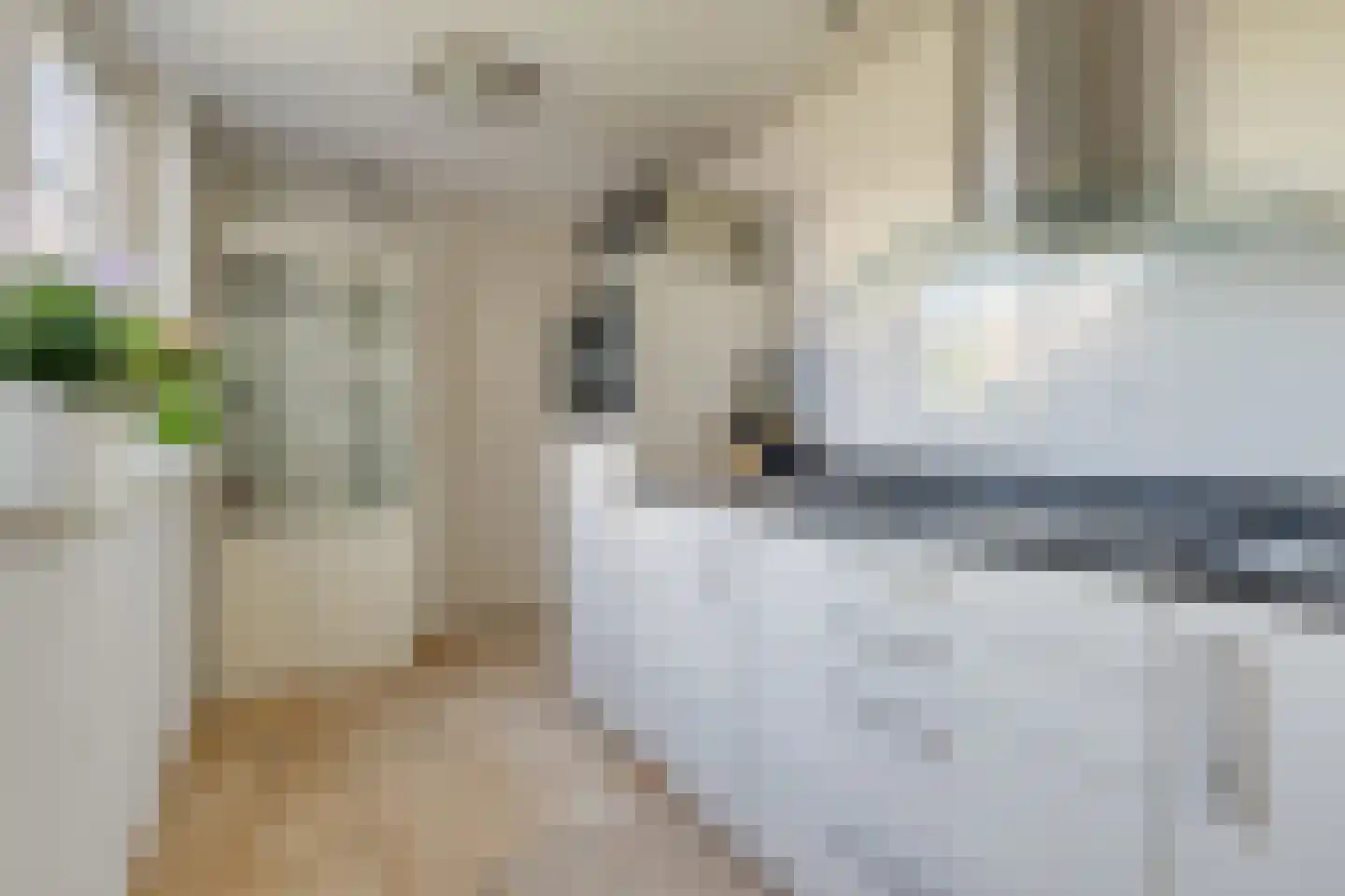 Zuidgouw 100 Ursem thumbnail 20