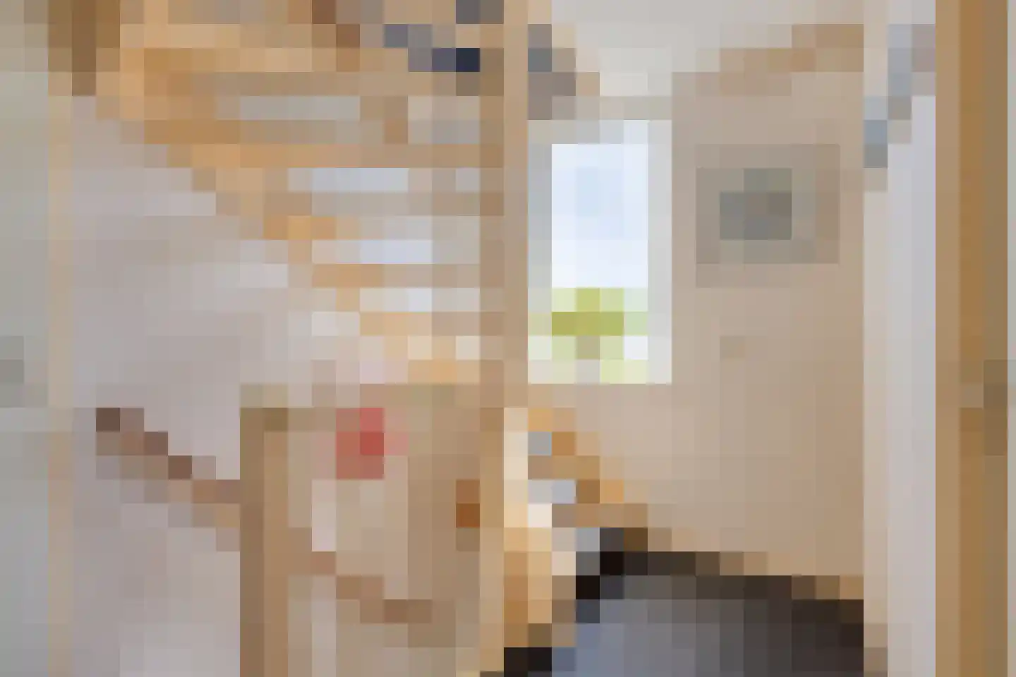 Zuidgouw 100 Ursem thumbnail 25