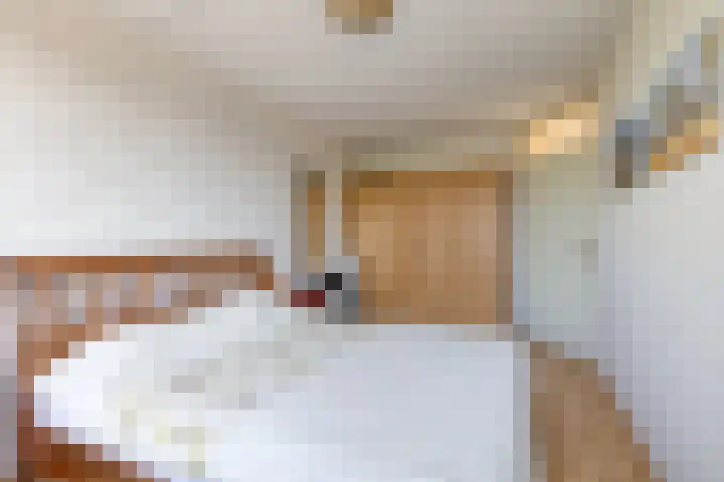 Zuidgouw 100 Ursem thumbnail 27