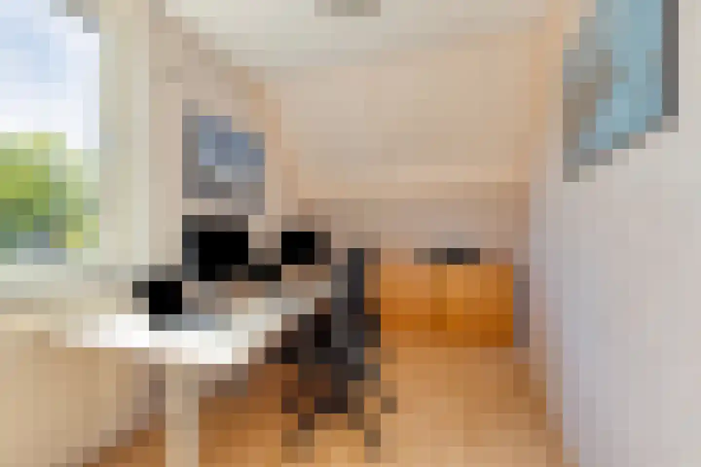 Zuidgouw 100 Ursem thumbnail 30