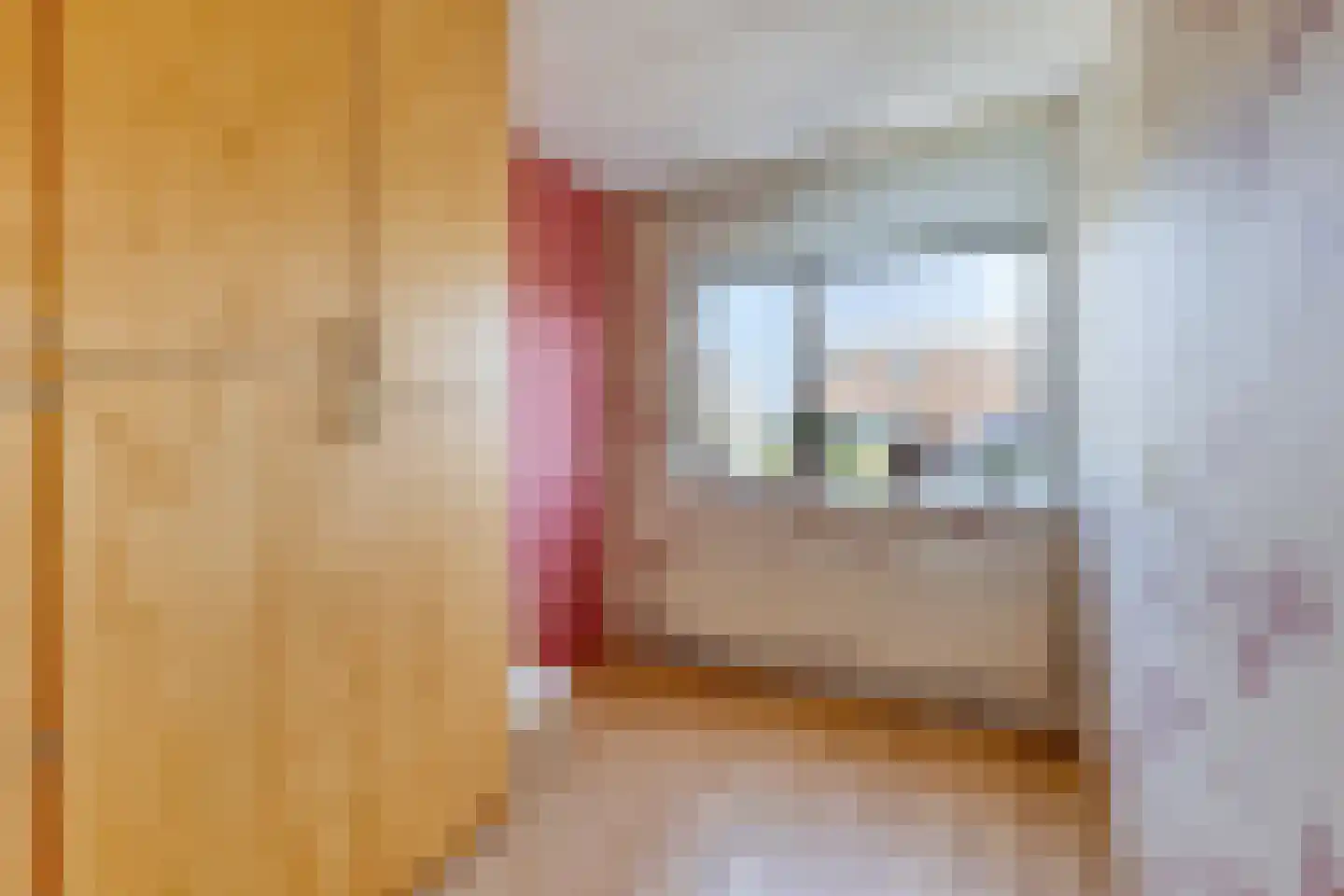 Zuidgouw 100 Ursem thumbnail 32