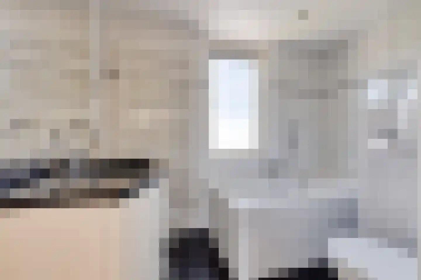Zuidgouw 100 Ursem thumbnail 34