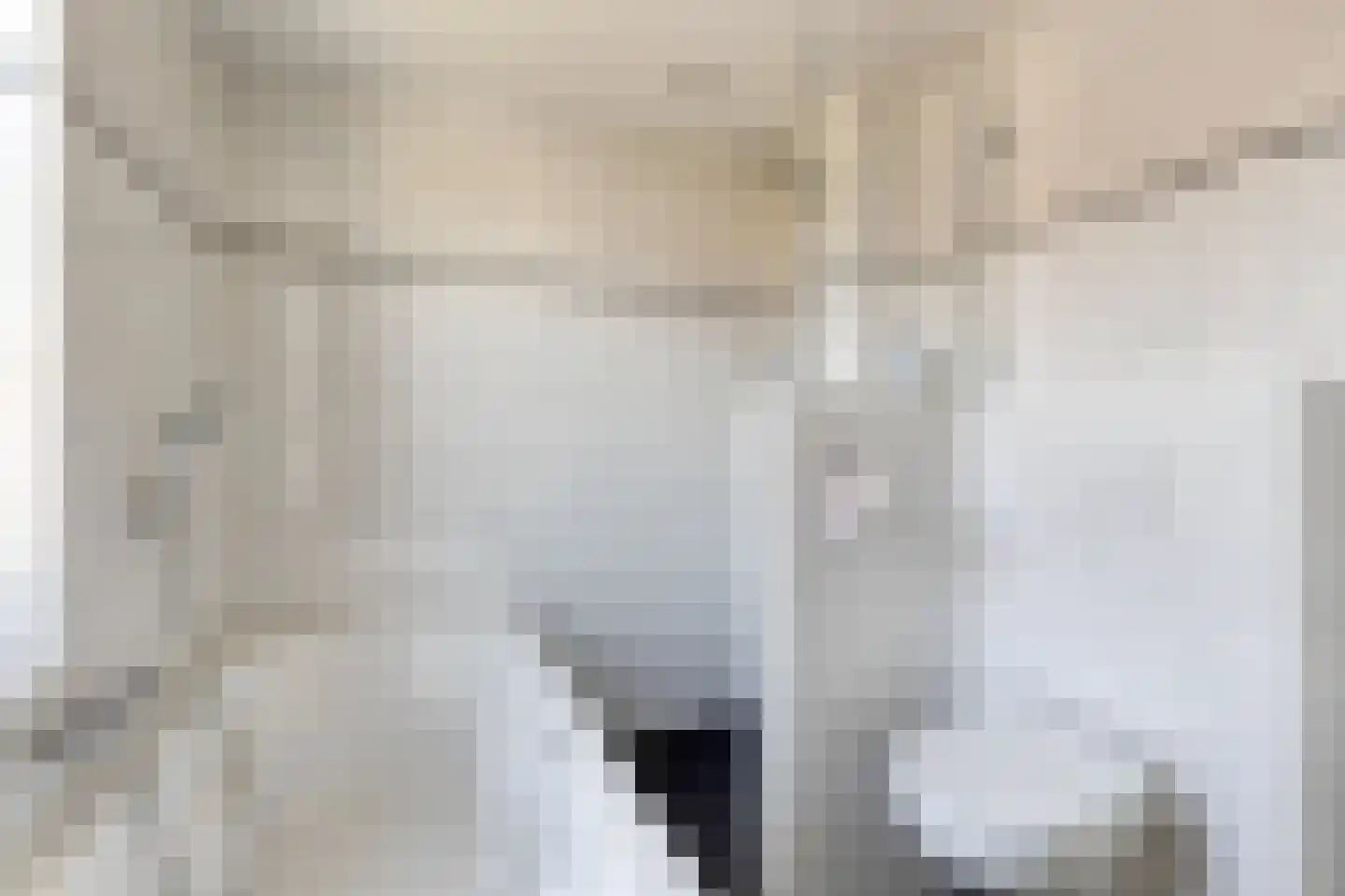Zuidgouw 100 Ursem thumbnail 35
