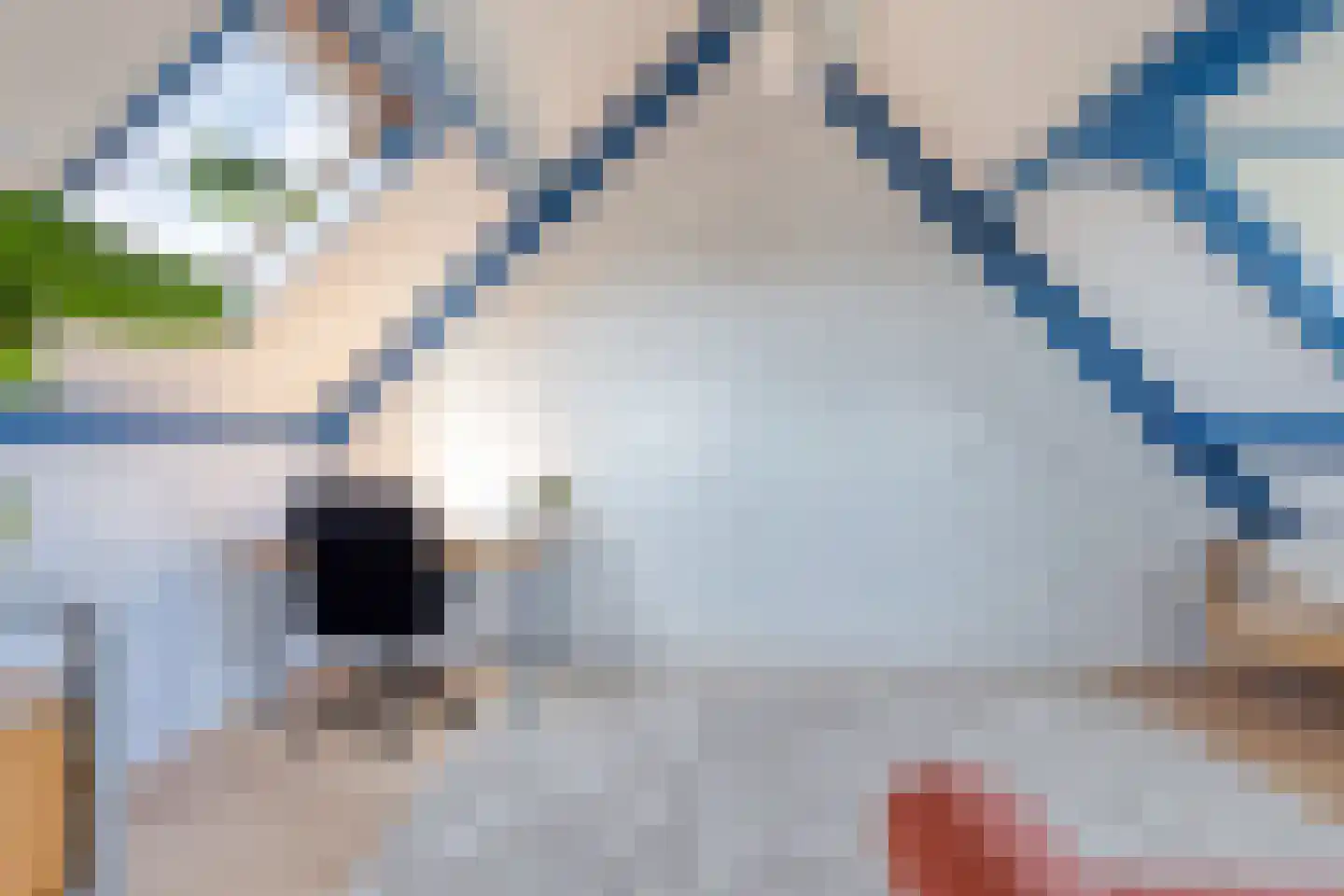 Zuidgouw 100 Ursem thumbnail 38