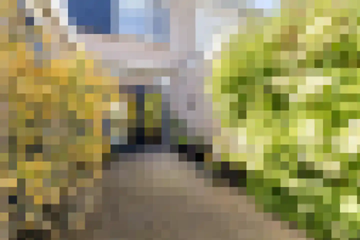 Zuidgouw 100 Ursem thumbnail 44