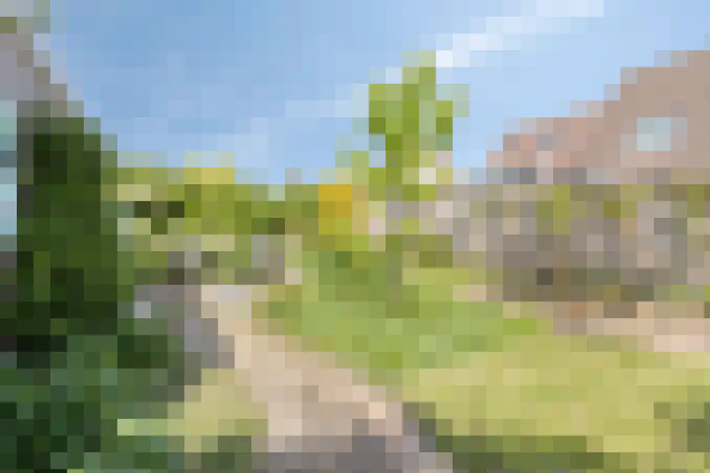 Zuidgouw 100 Ursem thumbnail 50