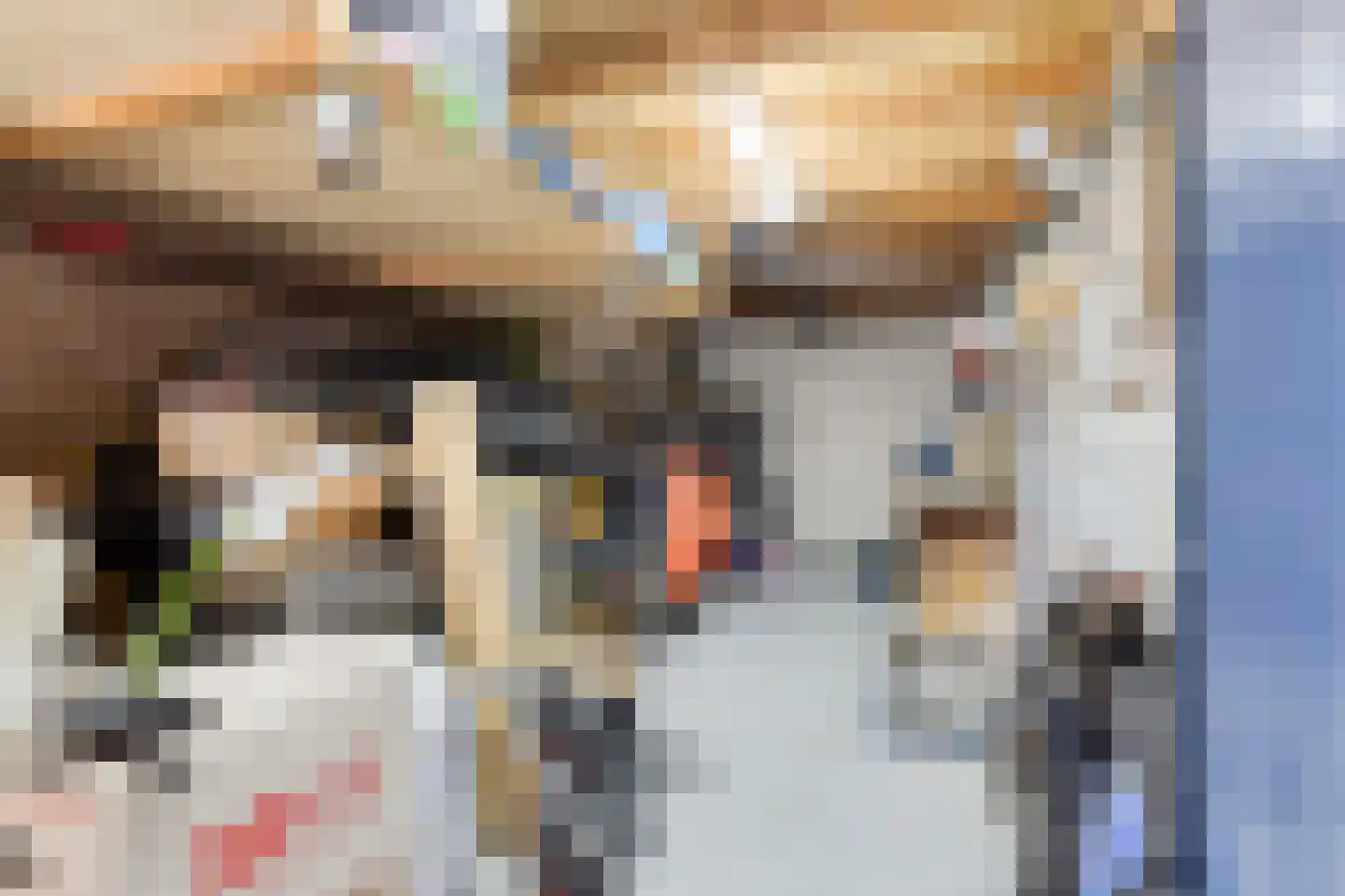 Zuidgouw 100 Ursem thumbnail 53