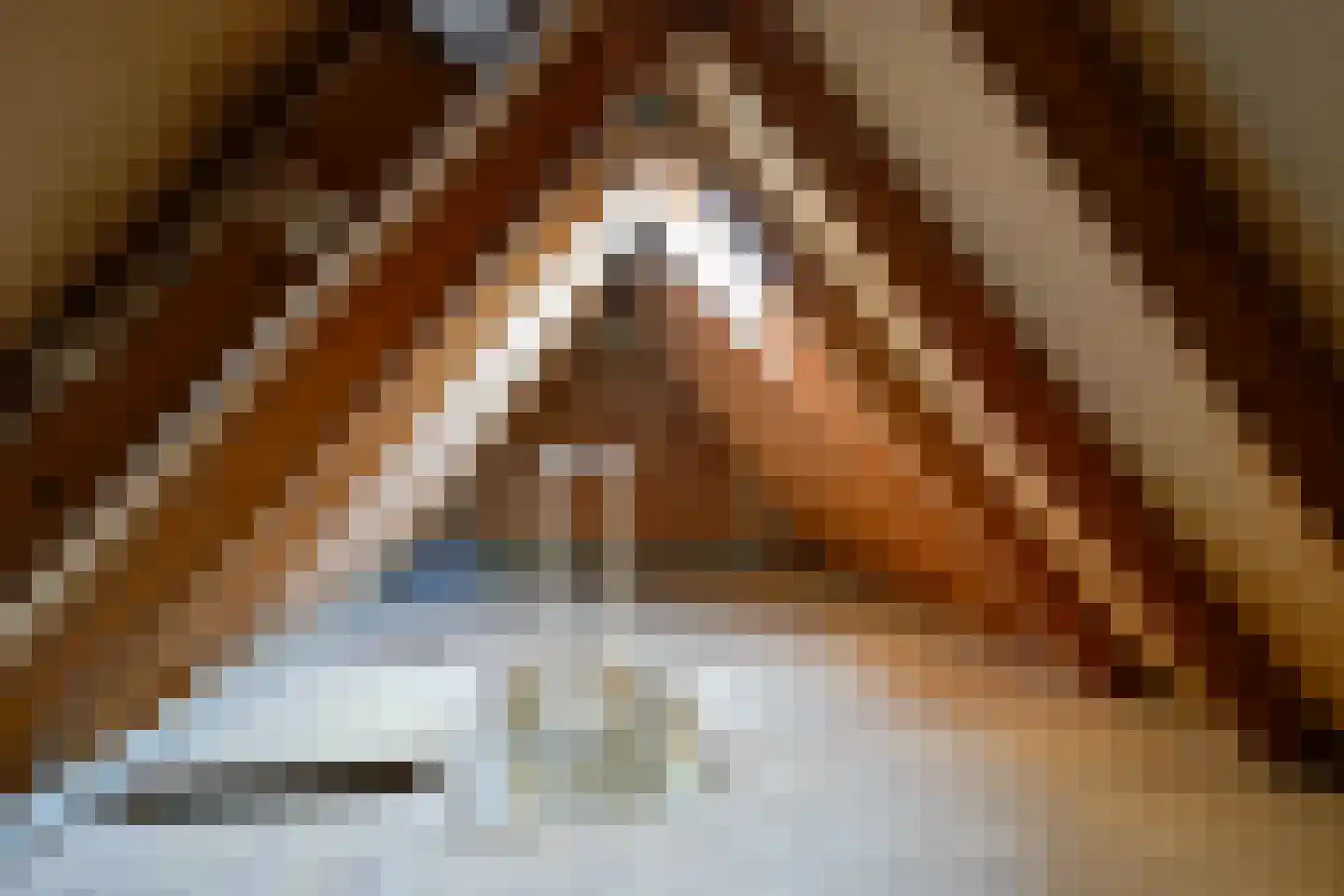 Zuidgouw 25 Ursem thumbnail 24