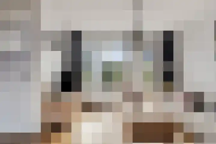 Zuidgouw 39 Ursem thumbnail 10