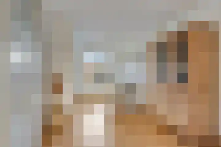 Zuidgouw 39 Ursem thumbnail 13