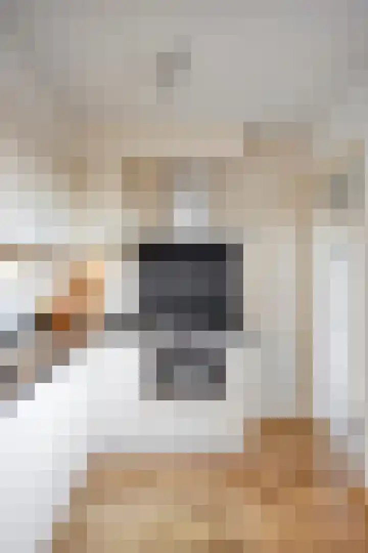 Zuidgouw 39 Ursem thumbnail 17