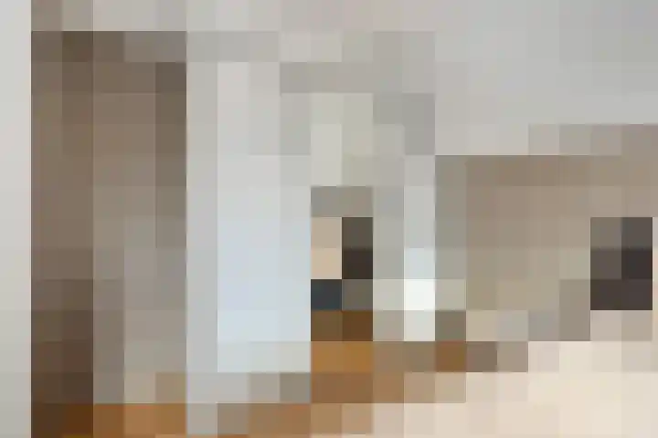 Zuidgouw 39 Ursem thumbnail 26