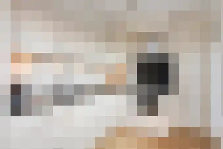 Zuidgouw 39 Ursem foto 3