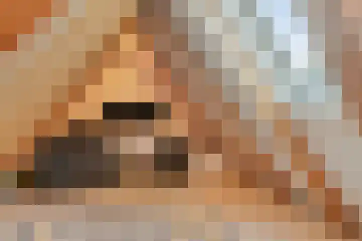 Zuidgouw 39 Ursem thumbnail 38