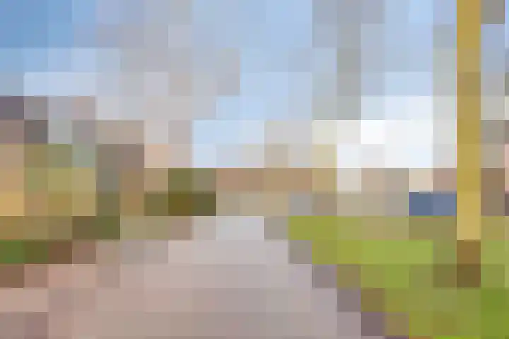 Zuidgouw 39 Ursem thumbnail 47