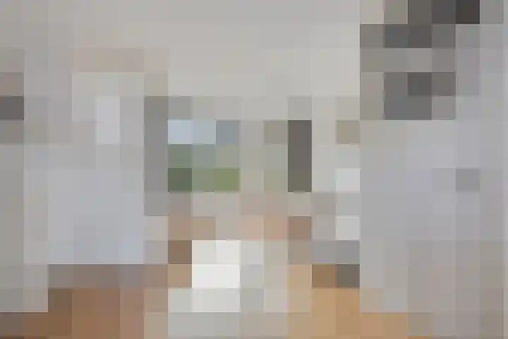 Zuidgouw 39 Ursem thumbnail 7