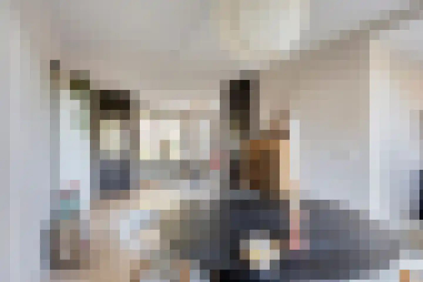 Zuidgouw 72 Ursem thumbnail 12