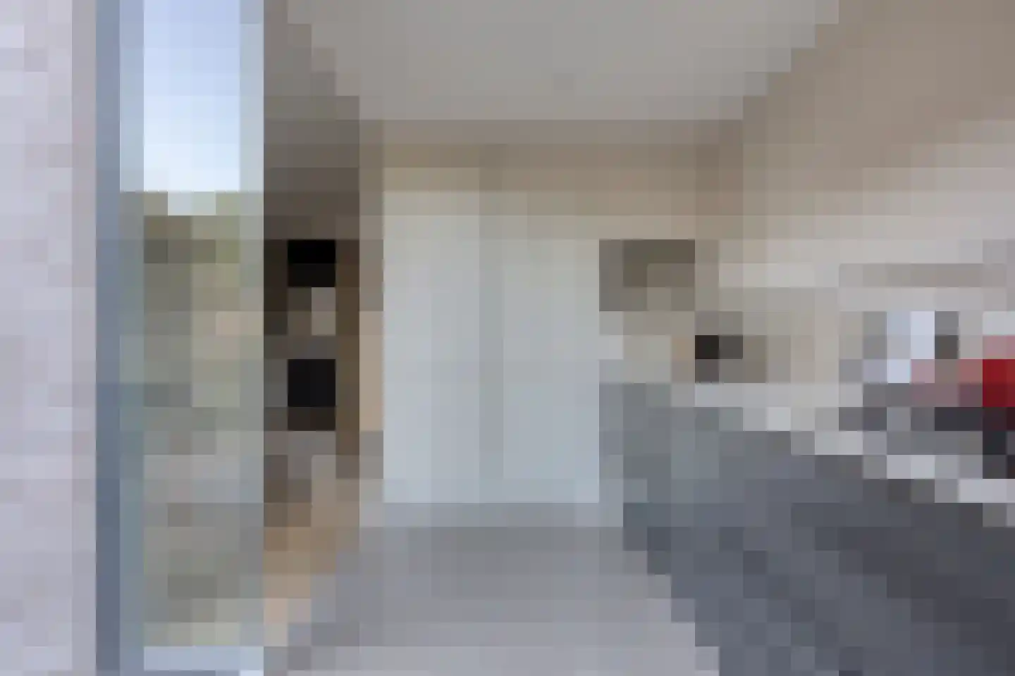 Zuidgouw 72 Ursem thumbnail 15