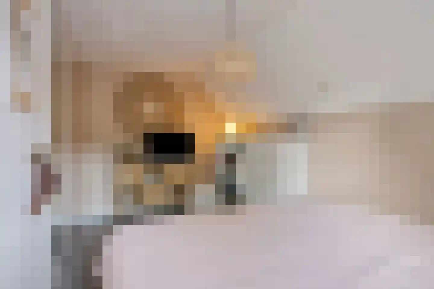 Zuidgouw 72 Ursem thumbnail 21