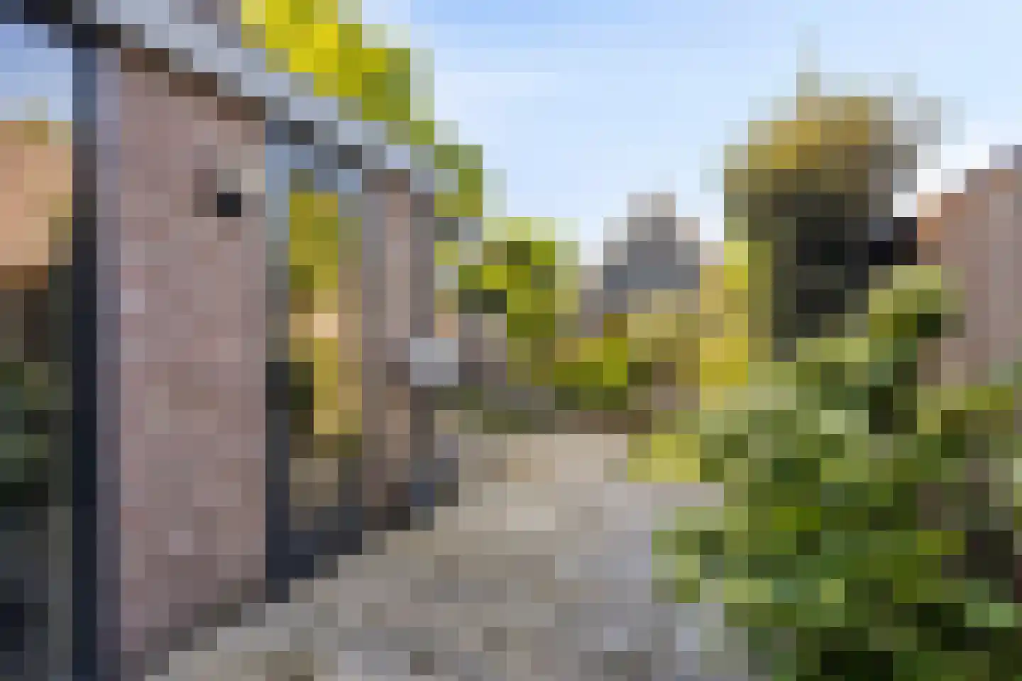 Zuidgouw 72 Ursem thumbnail 31